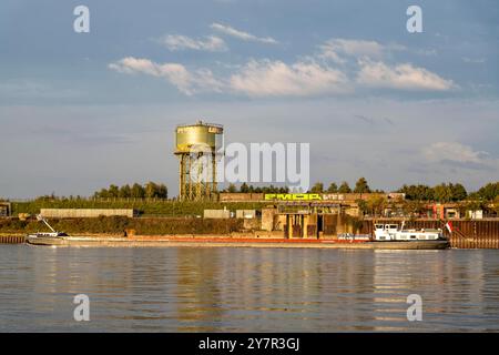 Der Rheinpark a Duisburg-Hochfeld, ehemaliges Industriegelände, Stahlindustrie, 60 ha, Groß, mit 1,4 KM DA Uferpromenade, gastronomia, Skaterpark, viel Wiesen, Wald, Spielplätzen, Stadtstrand, am Rhein, Strukturwandel, Duisburg NRW, Deutschland, Rheinpark Duisburg *** Parco del Reno a Duisburg Hochfeld, ex sito industriale, industria siderurgica, 60 ha, grande, con 1,4 km dal lungomare, gastronomia, pista di pattinaggio, numerosi prati, foresta, parchi giochi, spiaggia cittadina, sul Reno, modifiche strutturali, Duisburg NRW, Germania, Rhine Park Duisburg Foto Stock