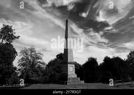 L'obelisco nei terreni di Stoke Rochford Hall, South Kesteven, Lincolnshire, Inghilterra. Nel 1847 Charles Turnor aggiunse agli ornamenti del parco Foto Stock