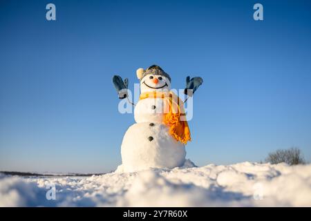 Smiley pupazzo di neve con cappello a maglia e sciarpa gialla con le mani in alto su un campo innevato. Cielo blu sullo sfondo Foto Stock