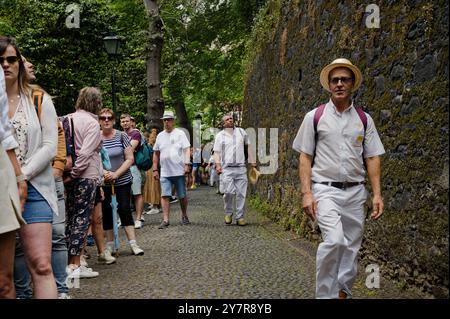 Carreiros passeggia davanti ai turisti, cappello in mano, dirigendosi verso il successivo giro in toboga sul monte Foto Stock