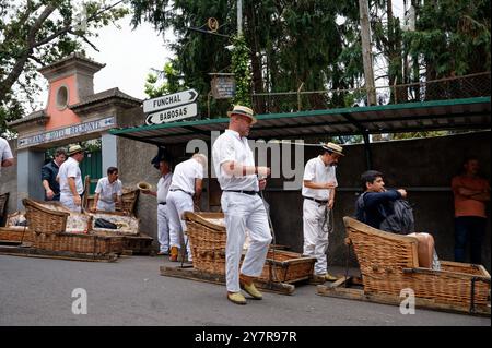 Carreiros e i loro toboga in vimini aspettano i passeggeri al punto di partenza del giro sul monte Foto Stock