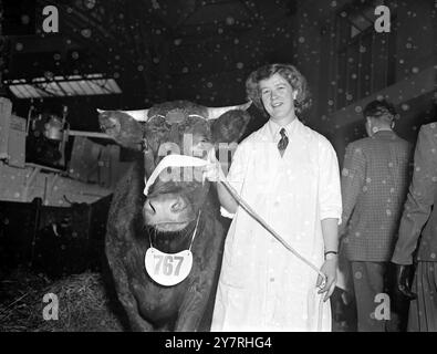 Lo spettacolo dei latticini si apre ad Olympia. 27.10.53. 393 animali sono stati inseriti nella più grande fiera londinese del settore lattiero-caseario, che ha aperto oggi ad Olympia e continua fino a venerdì prossimo. La foto dell'INP mostra "Venton Buttercup 3rd", la prima giovenca del South Devon, di proprietà di Stephen Hoskins, raffigurata con la signorina Betty Reeves. Foto di R. Palmer. EM 72178. Foto di notizie internazionali. Foto Stock