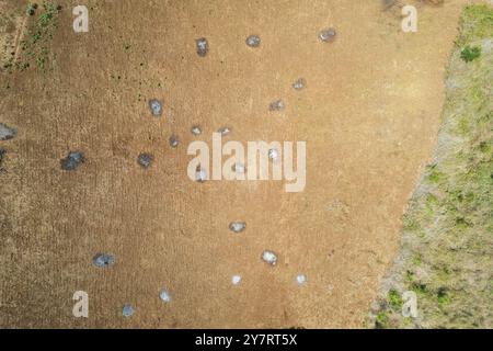 Punti di erba bruciata sull'antenna del campo agricolo sopra la vista dei droni Foto Stock