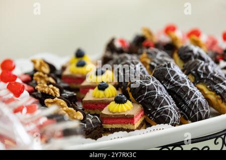 File di deliziosi dessert gourmet di piccole dimensioni in mostra Foto Stock