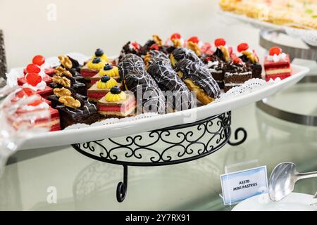 File di deliziosi dessert gourmet di piccole dimensioni in mostra Foto Stock