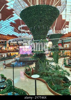 Splendidi alberi al coperto nella sala del Qatar Mall Foto Stock