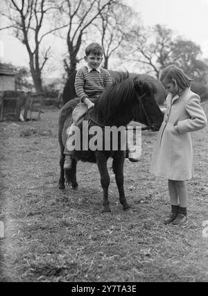 Il SUPPORTO DEL PRINCIPE CARLO IN ALLENAMENTO 23 maggio 1950 Benjamin Williams 6, si siede comodamente su Cloudy, che nutre la bambina di 8 anni Sally Williams, poiché questa fotografia viene scattata a casa della proprietaria originale di Cloudy, la signora Seymour Williams, a Doddington, Chipping Sodbury, Gloucestershire. Nuvoloso, il pony delle Shetland di 14 mesi, che la principessa Elisabetta ha accettato per il principe Carlo, viene gradualmente addestrato all'etichetta del pony per il suo futuro maestro. Poiché Cloudy è così giovane, le sessioni di allenamento durano solo pochi istanti ogni giorno al momento. Il supporto gentile accetta il suo pilota con compiacenza. Foto Stock