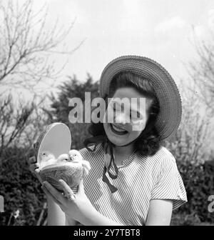 GIUGNO AL TEMPO DI PASQUA - - - - 7 aprile 1950 - - - giugno Beckett 19 anni stenografo di Bristol trova il luogo ideale per la Pasqua nel podere di J Chiswell a Keynsham, Somerset. Foto Stock