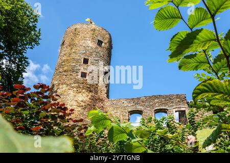 Le château de Burg-Reuland | il castello di Burg-Reuland Foto Stock