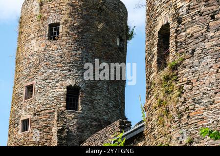 Le château de Burg-Reuland | il castello di Burg-Reuland Foto Stock