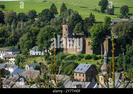 Le château de Burg-Reuland | il castello di Burg-Reuland Foto Stock