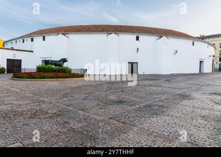 Plaza de Toros, arena, scultura in bronzo a Ronda. Provincia di Malaga, Andalusia, Spagna Foto Stock