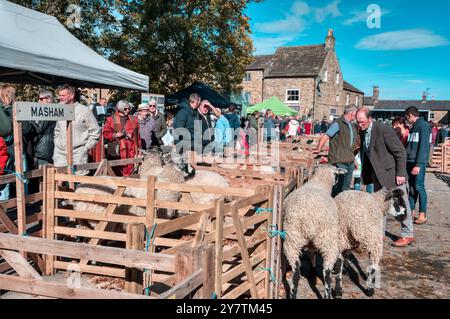 Masham Sheep Fair, Masham, vicino a Ripon, North Yorkshire, Regno Unito Foto Stock