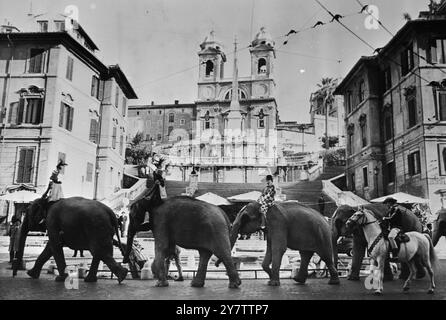 "INVIATI" DI LA BEFANA ROMA : PARATA DEGLI ELEFANTI DEL CIRCO DAVANTI ALLA FAMOSA SCALINATA DI PIAZZA DI SPAGNA DI ROMA COME "INVIATI" DI LA BEFANA (LA STREGA BENEVOLA CHE, TRADIZIONALE IN ITALIA, PORTA DONI AI BAMBINI E AI POLIZIOTTI DEL TRAFFICO IN EPIFANIA, 6 GENNAIO). L'EPIFANIA È STATA A LUNGO LA STORICA GIORNATA DEI DONI IN ITALIA, CON LA BEFANA CHE CAVALCAVA LA SCOPA NEL RUOLO DI BABBO NATALE, 8 GENNAIO 1965 Foto Stock