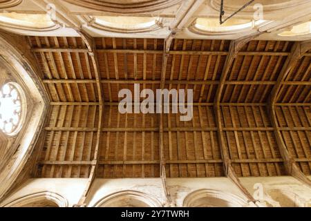 Soffitto o tetto in legno medievale, Binham Priory o St. Marys Priory Church, Binham Norfolk UK Foto Stock