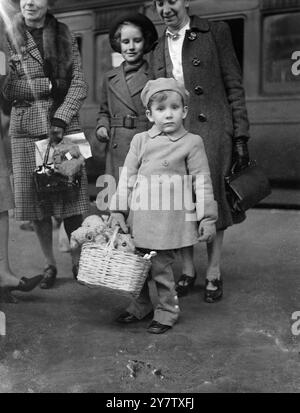 AL SICURO A LONDRA DOPO LA FUGA DALLA MALAYA foto mostra: Peter John Scott, figlio di un soldato lasciato in Malesia, che arriva a una stazione di Londra dopo la sua fuga con sua madre da Ipoh, Malesia. Era appena arrivato in questo paese un centinaio di rifugiati, alcuni dei quali fuggirono dalla Malesia con due navi da guerra americane che li portarono a Colombo. 15 aprile 1942 Foto Stock