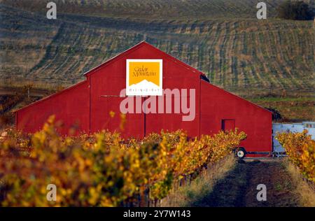 Livermore, California, azienda vinicola Cedar Mountain situata a Livermore, California, 45 km circa a sud-est di San Francisco, California. I vinterns californiani sono entusiasti della sentenza del giudice distrettuale statunitense Richard Berman secondo cui il divieto di New York di spedire vino direttamente fuori dallo stato è incostituzionale. La sentenza aiuterà piccole aziende vinicole come Cedar Mountain Winery che hanno dovuto spedire attraverso un grossista. () Foto Stock