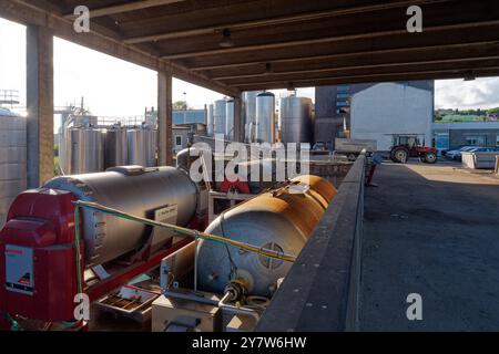 Vasche in acciaio inox e attrezzature presso la Cantina Cooperativa che produce vino da uve fornite dagli agricoltori locali. Montefiascone. 1 ottobre 2024 Foto Stock