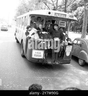 Questo autobus che ieri percorre i famosi Champs Elysees a Parigi non ha una tigre nel suo carro armato, ma una mucca sulla piattaforma. L'insolito passeggero, chiamato " Pierrette ", veniva preso per un viaggio in autobus per le strade di Parigi per pubblicizzare un'azienda lattiero-casearia locale. Speriamo che gli automobilisti, pensando che il cibo naturale sia il migliore per i loro figli, non ritornino a Parigi con una mucca nel bagagliaio mentre tornano a casa da una visita in Francia.28 aprile 1966 Foto Stock