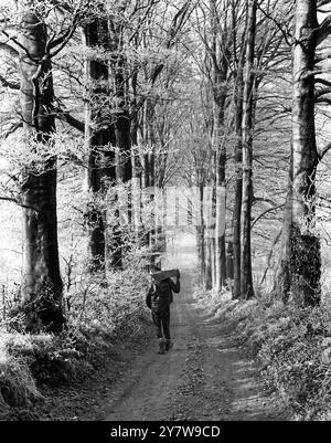 Un uomo che cammina lungo un sentiero attraverso i faggi , portando un legname ugo sulla spalla .10 gennaio 1963 Foto Stock