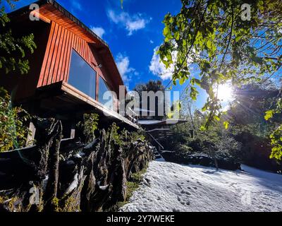 Una casa nella foresta di Araucania Foto Stock