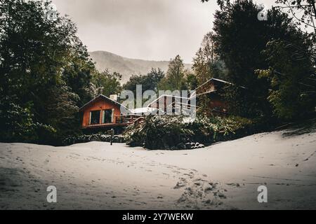 Una casa nella foresta di Araucania Foto Stock