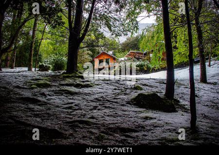 Una casa nella foresta di Araucania Foto Stock