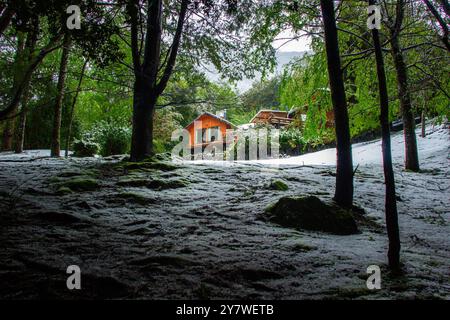 Una casa nella foresta di Araucania Foto Stock