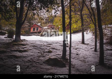 Una casa nella foresta di Araucania Foto Stock