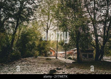 Una casa nella foresta di Araucania Foto Stock