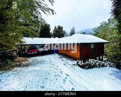 Una casa nella foresta di Araucania Foto Stock