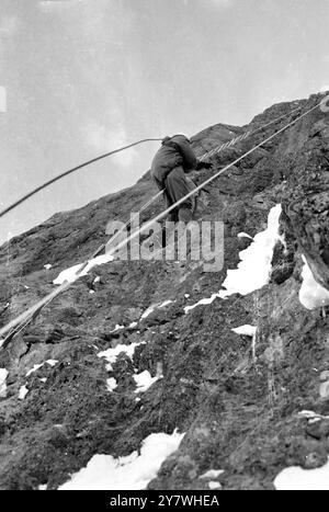 Kleine Scheidigg , Svizzera : Britanni e quattro tedeschi dopo la storica salita sul muro nord killer dell' Eiger . Guenther Strobel (a destra ) , membro della squadra tedesca e guida alpina F . Goertsch appende sul muro tra il primo e il secondo bivacco . 6 marzo 1966 Foto Stock