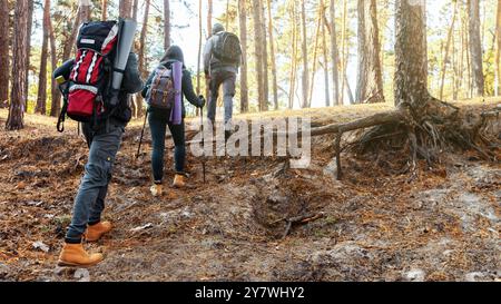 Escursionisti che si difendono nella foresta di montagna, vista posteriore Foto Stock