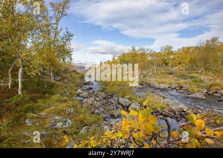 Woden Bridge su un percorso turistico sopra il torrente nella foresta di tundra della Lapponia vicino Kilpisjrvi, Finlandia Foto Stock