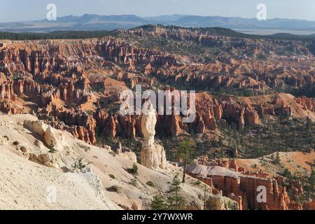 Hoodoos, anfiteatro boschivo e strati geologici stratificati colorati da Bryce Point, Bryce Canyon National Park, Utah sud-orientale. Foto Stock