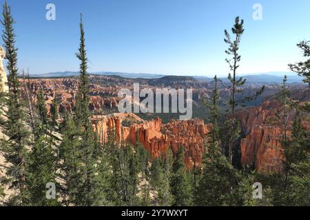 Hoodoos, anfiteatro boschivo e strati geologici stratificati colorati da Bryce Point, Bryce Canyon National Park, Utah sud-orientale. Foto Stock