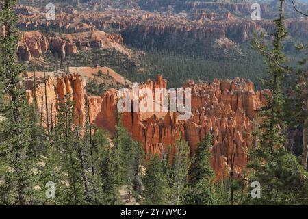 Hoodoos, anfiteatro boschivo e strati geologici stratificati colorati da Bryce Point, Bryce Canyon National Park, Utah sud-orientale. Foto Stock