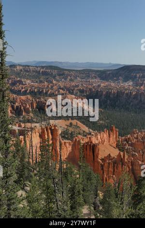 Hoodoos, anfiteatro boschivo e strati geologici stratificati colorati da Bryce Point, Bryce Canyon National Park, Utah sud-orientale. Foto Stock