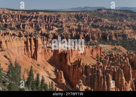 Hoodoos, anfiteatro boschivo e strati geologici stratificati colorati da Bryce Point, Bryce Canyon National Park, Utah sud-orientale. Foto Stock