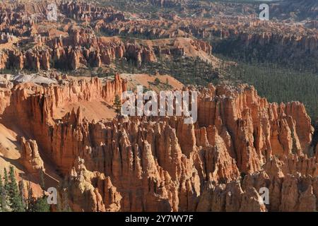 Hoodoos, anfiteatro boschivo e strati geologici stratificati colorati da Bryce Point, Bryce Canyon National Park, Utah sud-orientale. Foto Stock