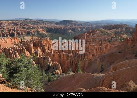 Hoodoos, anfiteatro boschivo e strati geologici stratificati colorati da Bryce Point, Bryce Canyon National Park, Utah sud-orientale. Foto Stock