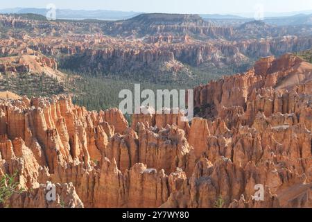 Hoodoos, anfiteatro boschivo e strati geologici stratificati colorati da Bryce Point, Bryce Canyon National Park, Utah sud-orientale. Foto Stock