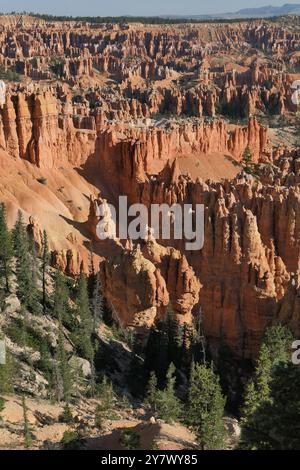 Hoodoos, anfiteatro boschivo e strati geologici stratificati colorati da Bryce Point, Bryce Canyon National Park, Utah sud-orientale. Foto Stock