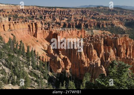 Hoodoos, anfiteatro boschivo e strati geologici stratificati colorati da Bryce Point, Bryce Canyon National Park, Utah sud-orientale. Foto Stock