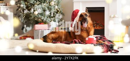 Carino cane Pastore tedesco a Santa Hat e con regalo a casa la vigilia di Natale Foto Stock
