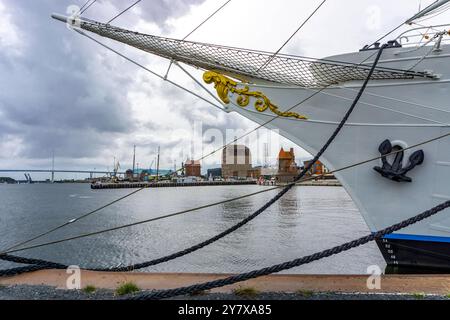 DAS ehemalige Segelschulschiff Gorch Fock i, im Hafen der Hansestadt und Weltkulturerbe Stätte der UNESCO, Stralsund, Heute Museumsschiff, Meclemburgo-Vorpommern, Deutschland, *** l'ex nave scuola a vela Gorch Fock i, nel porto della città anseatica e patrimonio dell'umanità dell'UNESCO, Stralsund, oggi nave museo, Meclemburgo-Vorpommern, Germania, Foto Stock