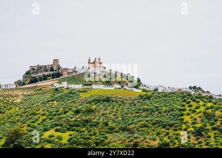 Olvera, villaggio bianco molto visitato, su una montagna appuntita, con castello e cattedrale, di carattere medievale, circondato da oliveti, provincia di C. Foto Stock