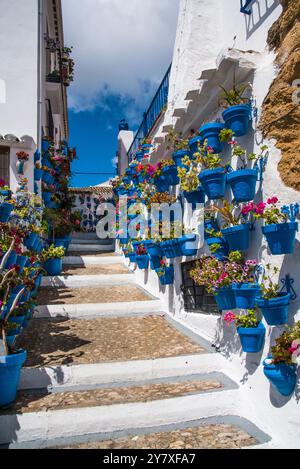 Iznajar, un villaggio bianco adornato di fiori, nella cintura dell'olivo, sul bacino idrico, provincia di Cordoba, Spagna Foto Stock