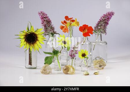 Natura morta con occhiali e creme da giardino, girasoli, Germania, Europa Foto Stock