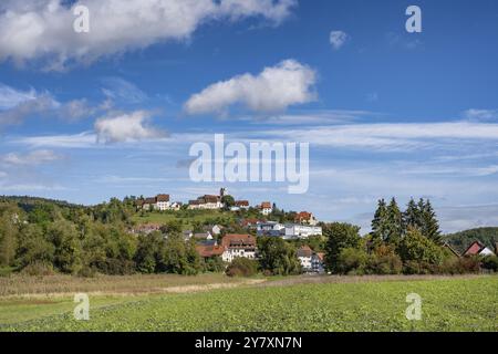 La città di Aach im Hegau, distretto di Costanza, Baden-Wuerttemberg, Germania, Europa Foto Stock